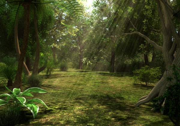 Floresta Mágica Modelo 3D - TurboSquid 1136213