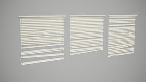 broken window blinds 3D model