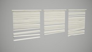 Broken Window Blinds