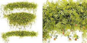 Collection plant vol 376 - blender model