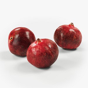 POLYPASTA - Pomegranate 01 3D