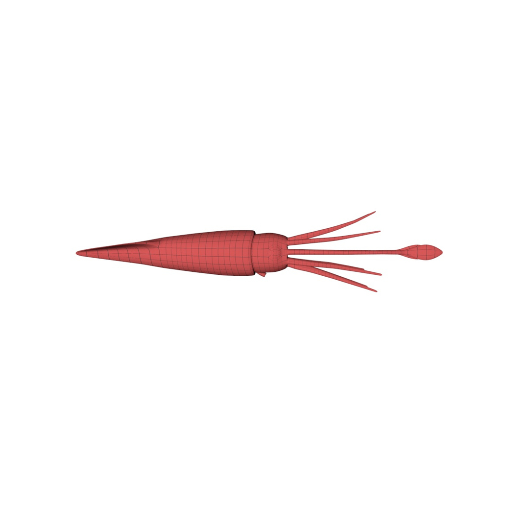 3d model base mesh squid https://p.turbosquid.com/ts-thumb/t2/FFulme/6HUOkSQf/1/jpg/1489677490/1920x1080/turn_fit_q99/fed5f7dc7e21806c7572b89c87d98d3d594e4af9/1-1.jpg