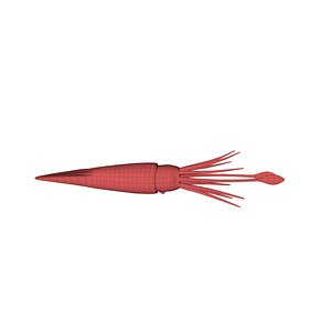 3d model base mesh squid