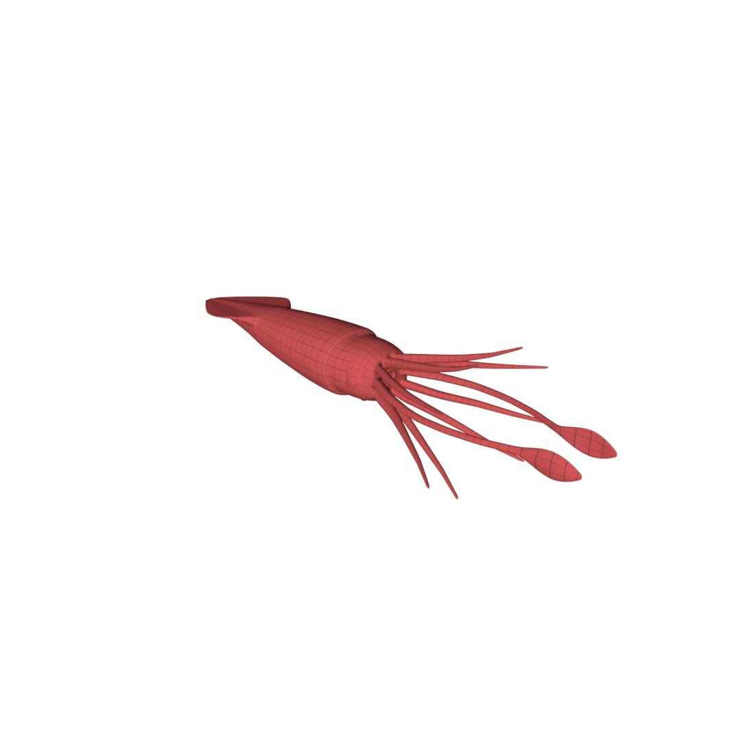 3d model base mesh squid https://p.turbosquid.com/ts-thumb/t2/FFulme/hY03rKjF/2/jpg/1489677550/1920x1080/fit_q87/1357079dee6e53b8b78dec7d80b6428508697771/2.jpg