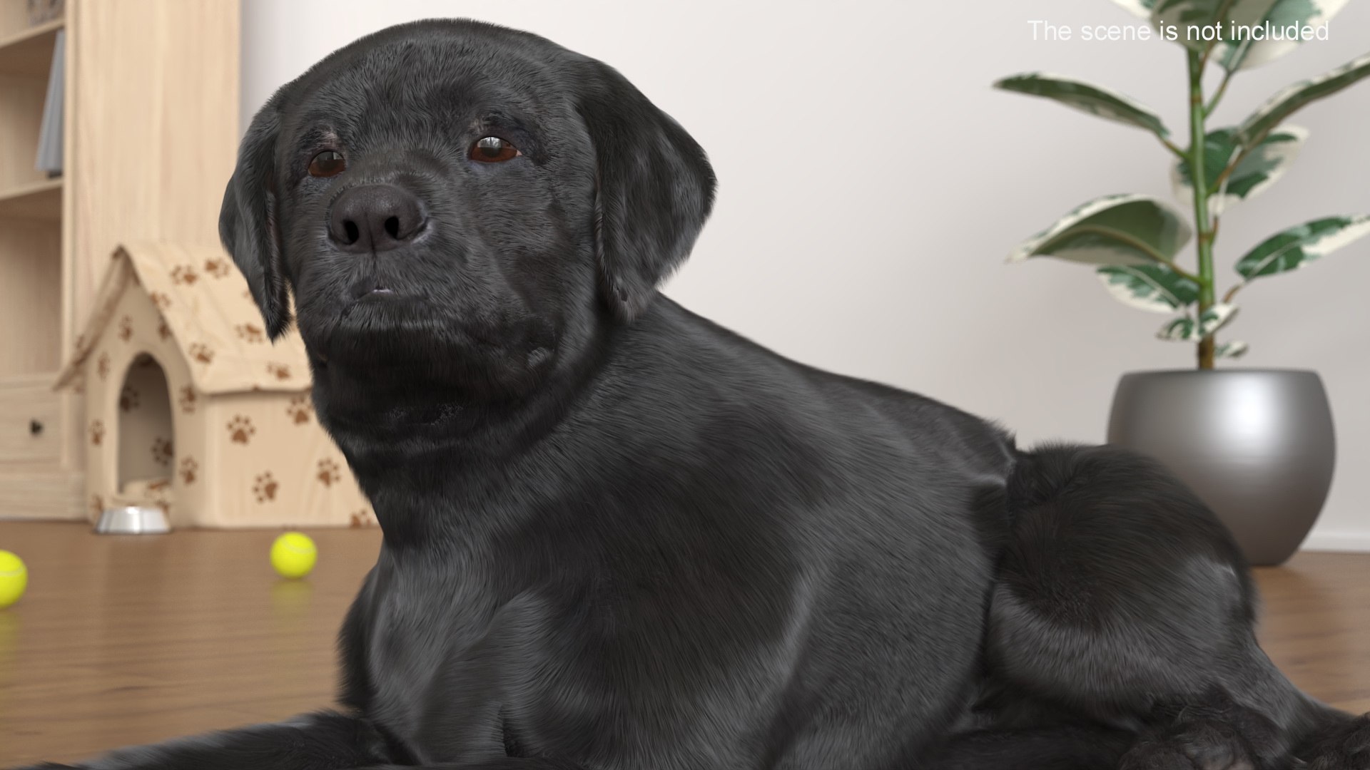 Labrador Retriever Puppy Black Lying Down Fur 3D Model - TurboSquid 2405841