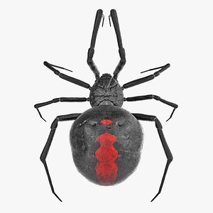 Black Widow Spider Rigged with Fur