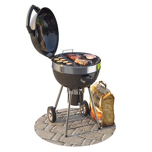 Napoleon Pro Charcoal