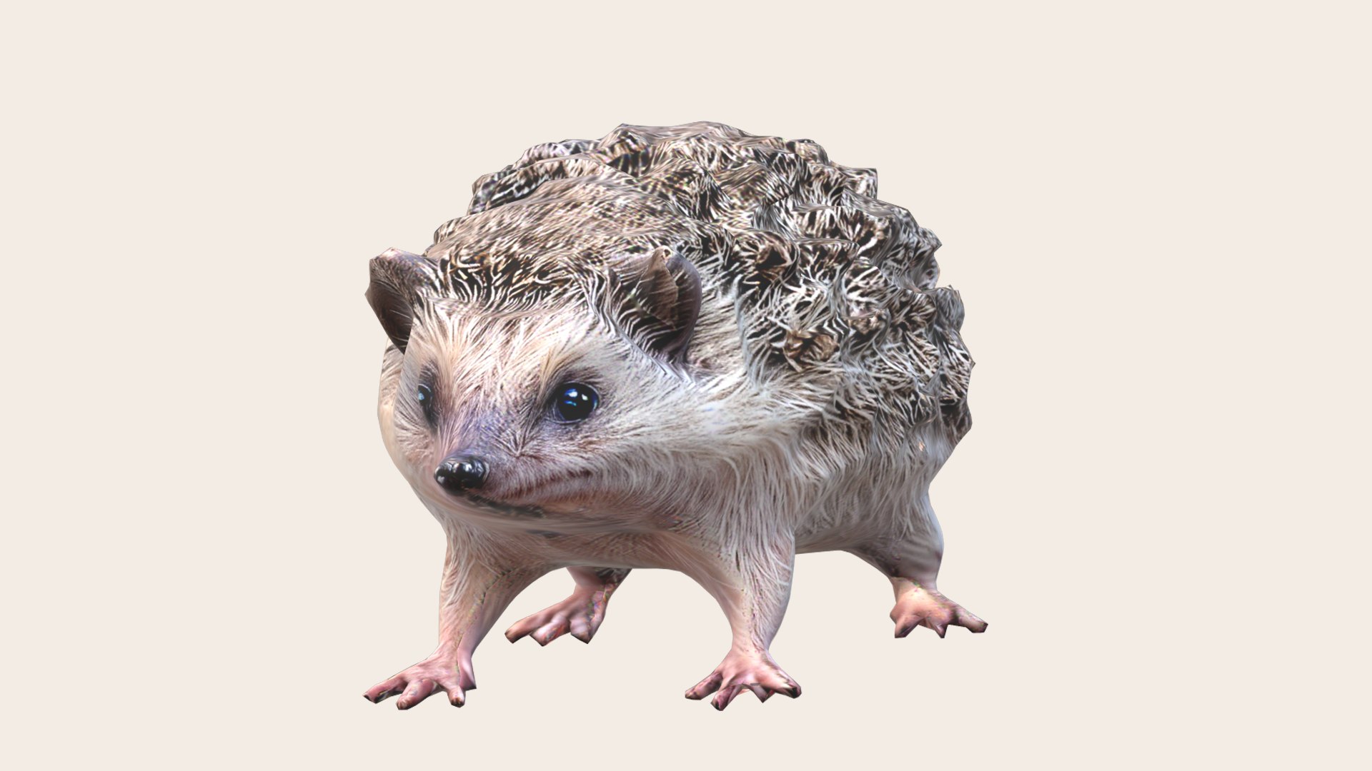 Hedgehog 3D Model - TurboSquid 2209980