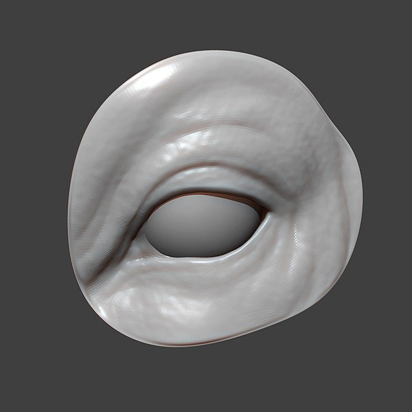 3D model Bull Eye Socket Highpoly Sculpt