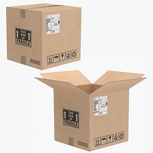 3D model Cardboard Box1 Collection