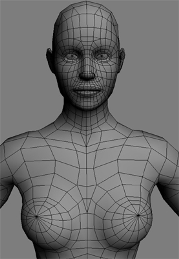 Female Anatomy 3d Model 9300