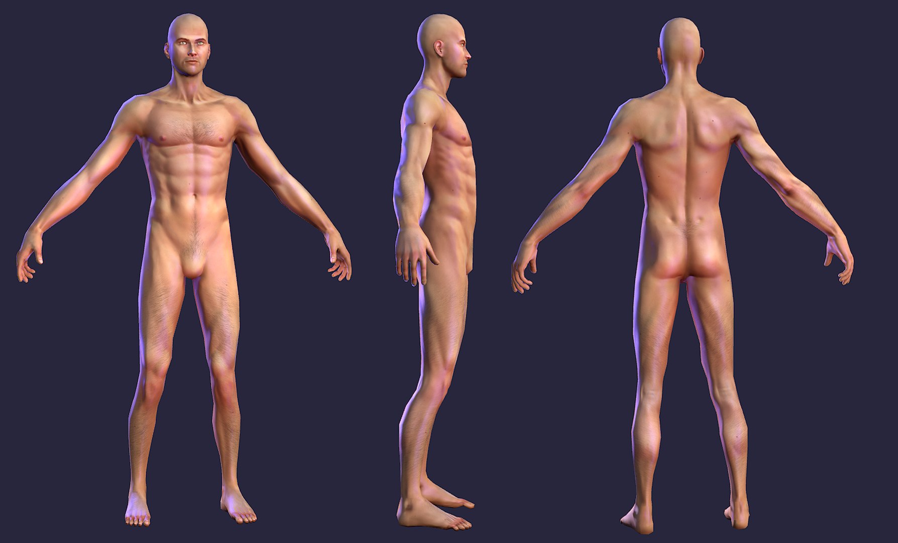 3dsmax Naked Human Male