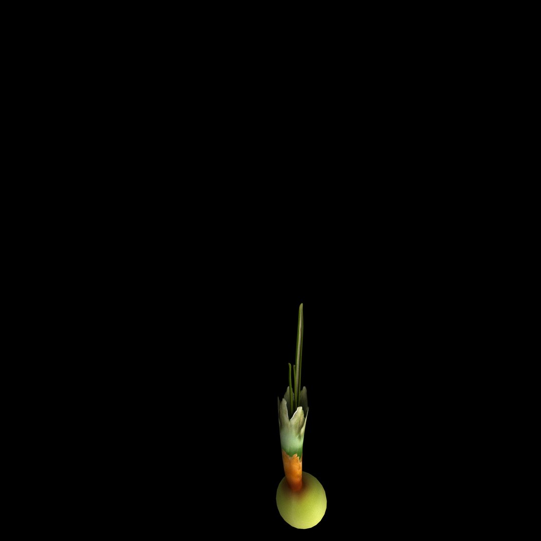 3D model flowers open animation https://p.turbosquid.com/ts-thumb/t2/mQigHP/3oRktZge/06/jpg/1594215941/1920x1080/fit_q87/5a625cf2185be3551d74d5a7c5eea59acb5784e3/06.jpg