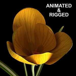 3D model flowers open animation
