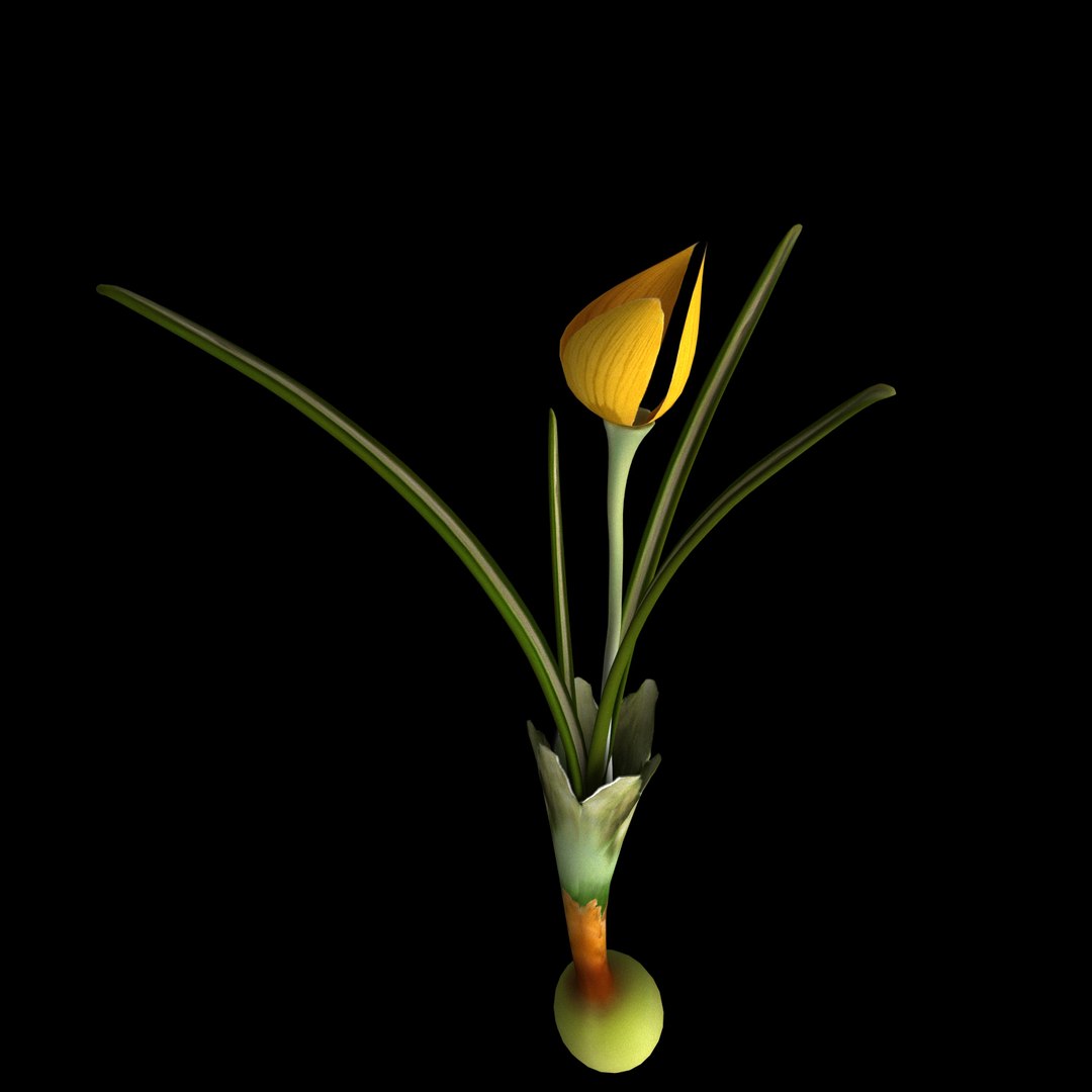 3D model flowers open animation https://p.turbosquid.com/ts-thumb/t2/mQigHP/HAv5uFkp/08/jpg/1594215941/1920x1080/fit_q87/86c60cdd7ae97f3dd0bd4e6fde176522df83e79c/08.jpg