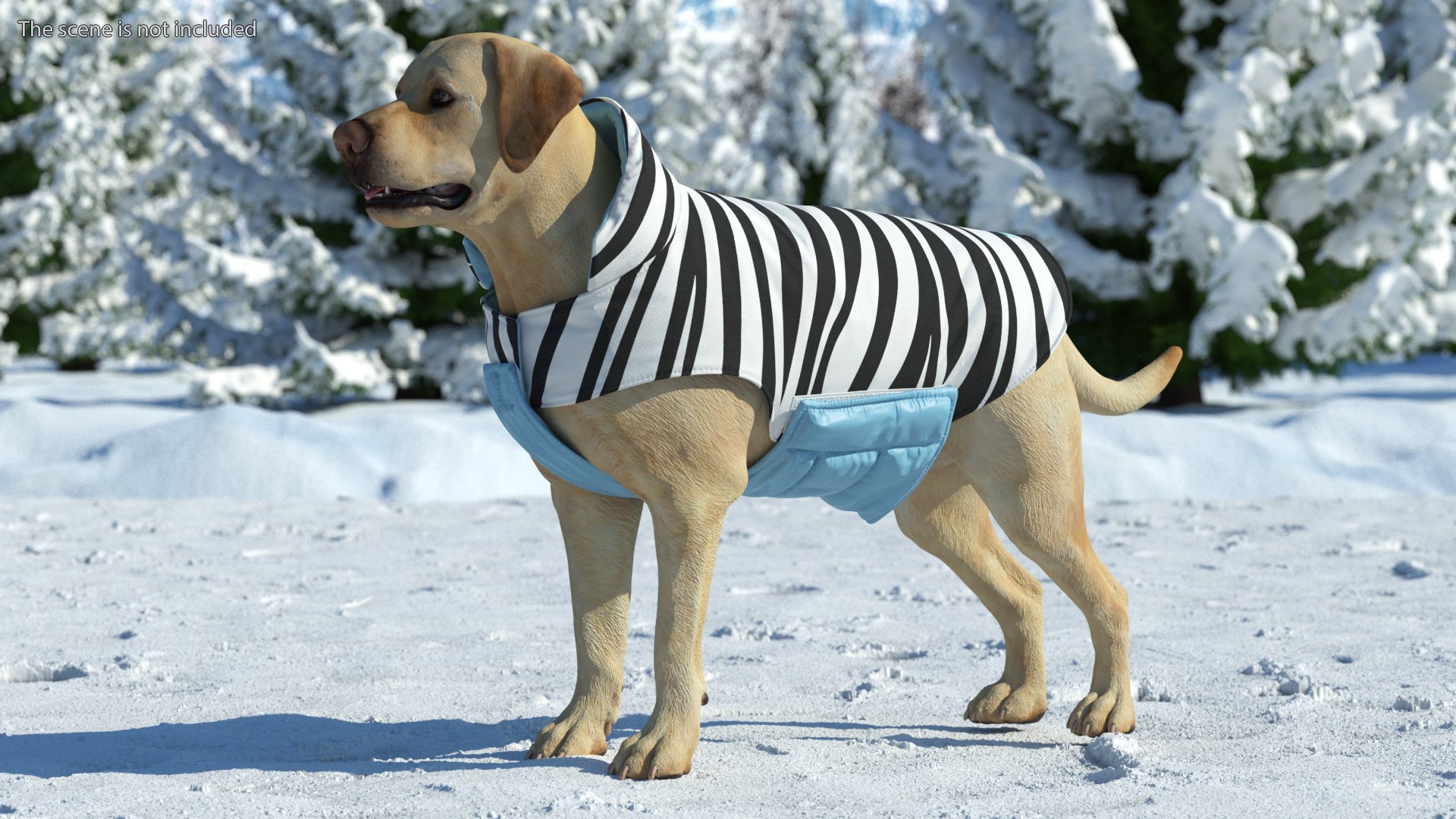 Labrador Wearing Zebra Coat 3D model https://p.turbosquid.com/ts-thumb/t3/6DrX9B/EP/labradorwearingzebracoat3dmodel002/jpg/1678701378/1920x1080/fit_q87/e5682ee2ab739a238d678ce8601a525e84f670e0/labradorwearingzebracoat3dmodel002.jpg