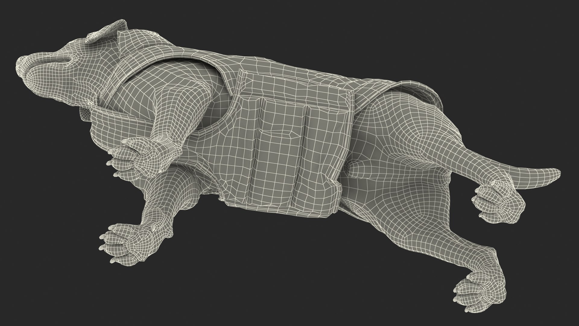 Labrador Wearing Zebra Coat 3D model https://p.turbosquid.com/ts-thumb/t3/6DrX9B/LN/labradorwearingzebracoat3dmodel030/jpg/1678701461/1920x1080/fit_q87/839bcc4e2c8a9ac0553ea5896ce2a995193aee50/labradorwearingzebracoat3dmodel030.jpg