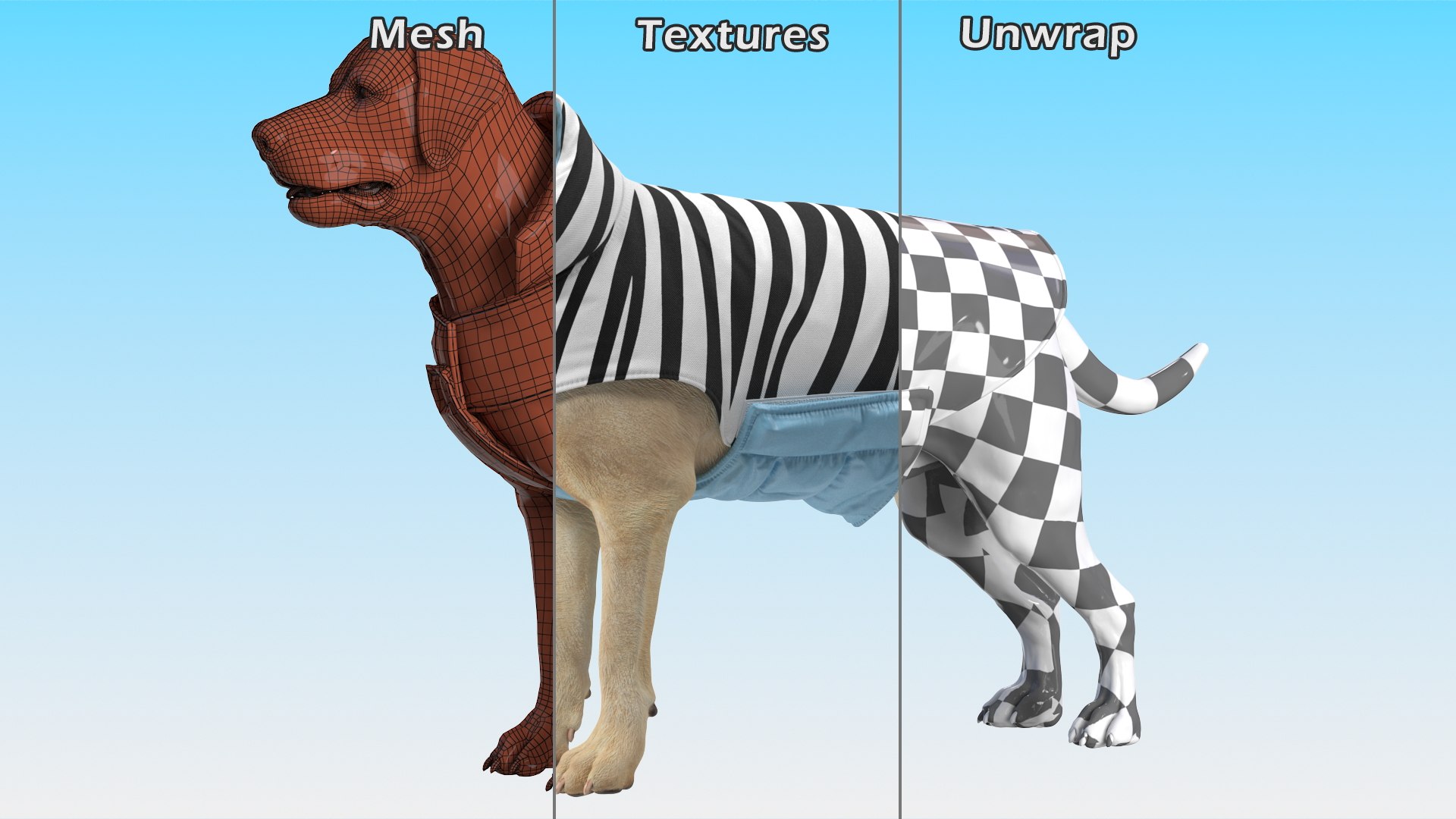 Labrador Wearing Zebra Coat 3D model https://p.turbosquid.com/ts-thumb/t3/6DrX9B/TC/labradorwearingzebracoat3dmodel017/jpg/1678701424/1920x1080/fit_q87/651ba72d366fa57aaf81c61a27d19599fb07d083/labradorwearingzebracoat3dmodel017.jpg