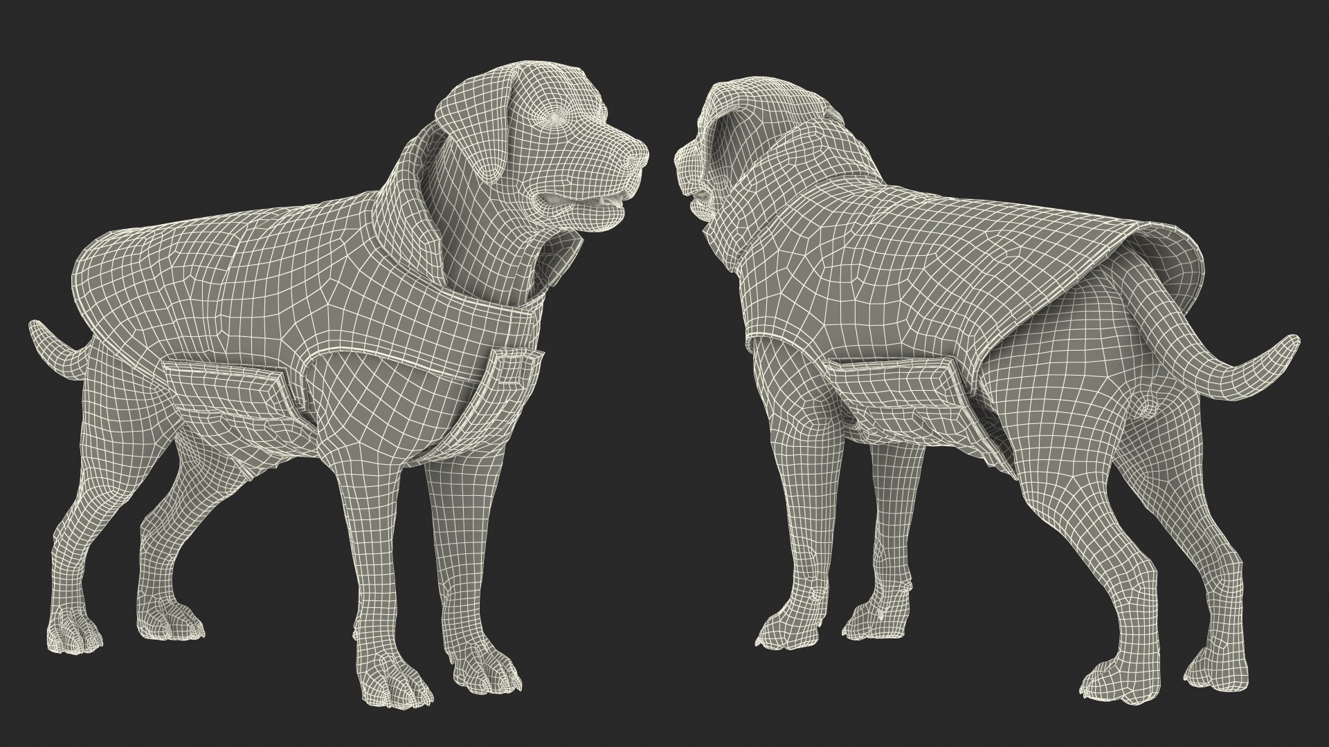 Labrador Wearing Zebra Coat 3D model https://p.turbosquid.com/ts-thumb/t3/6DrX9B/UD/labradorwearingzebracoat3dmodel028/jpg/1678701455/1920x1080/fit_q87/d0fed2d319cc4e0621488e5450b61e840dd571bc/labradorwearingzebracoat3dmodel028.jpg