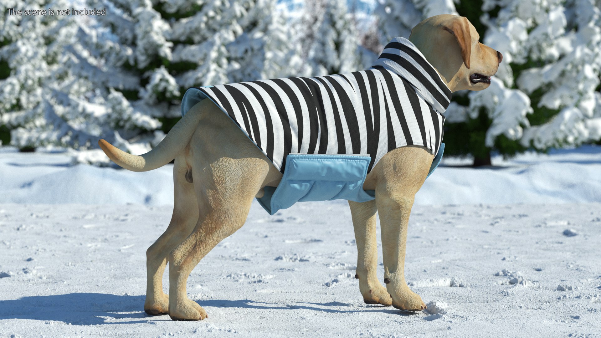 Labrador Wearing Zebra Coat 3D model https://p.turbosquid.com/ts-thumb/t3/6DrX9B/gw/labradorwearingzebracoat3dmodel003/jpg/1678701381/1920x1080/fit_q87/9f2a1ddeac17b2b70194720a29d39d77e7373cb5/labradorwearingzebracoat3dmodel003.jpg