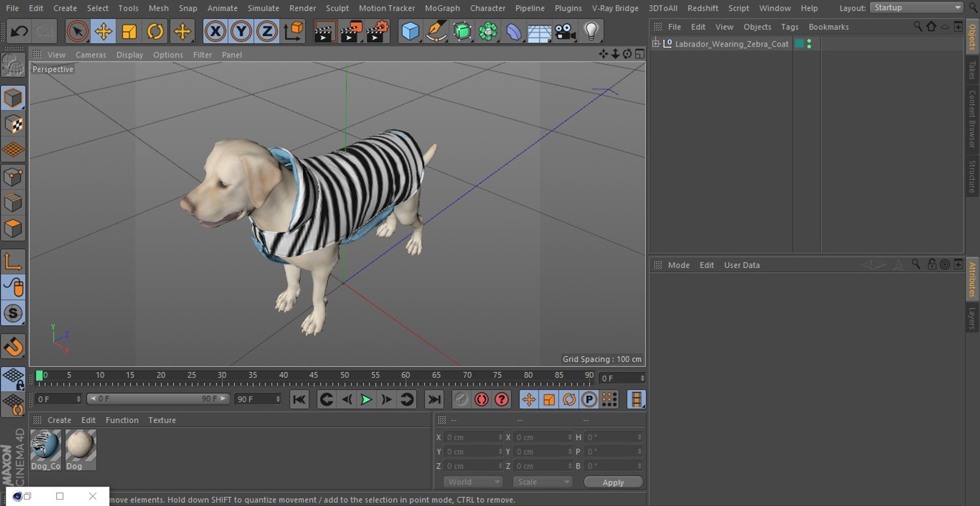 Labrador Wearing Zebra Coat 3D model https://p.turbosquid.com/ts-thumb/t3/6DrX9B/vy/labradorwearingzebracoat3dmodel024/jpg/1678701444/1920x1080/fit_q87/c83c4e2914a3ce65866aa1c895587a65618d62e2/labradorwearingzebracoat3dmodel024.jpg