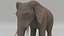 Elephant ANIMATED model