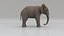 Elephant ANIMATED model