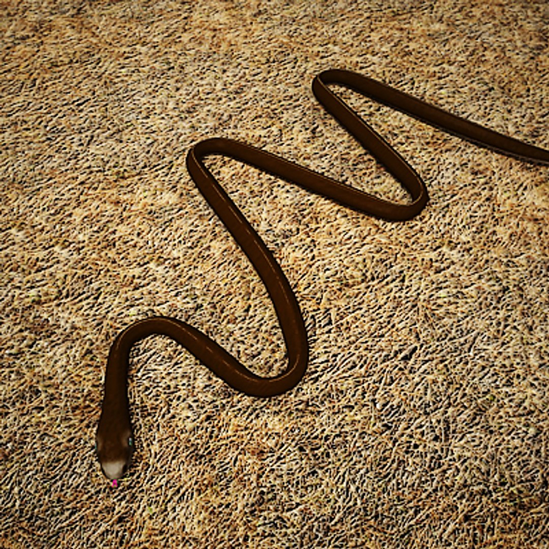 black mamba snakes 3d model https://p.turbosquid.com/ts-thumb/t3/K2JZHs/OZptQjIC/mambagreenc2/jpg/1255008761/1920x1080/fit_q87/e95f97605ac824e660e44d27fedc6f11f54cb908/mambagreenc2.jpg