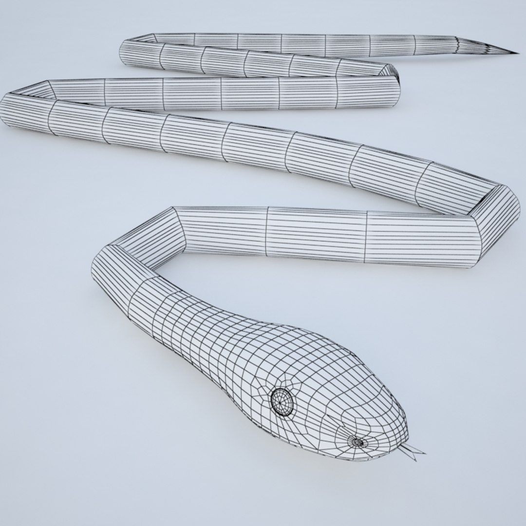 black mamba snakes 3d model https://p.turbosquid.com/ts-thumb/t3/K2JZHs/c8frFvD8/mam_edge/jpg/1255008765/1920x1080/fit_q87/1b1c8a51a02b59e95dc3a0c1c8993d6a8fba5215/mam_edge.jpg