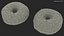 Bagels com sementes de gergelim