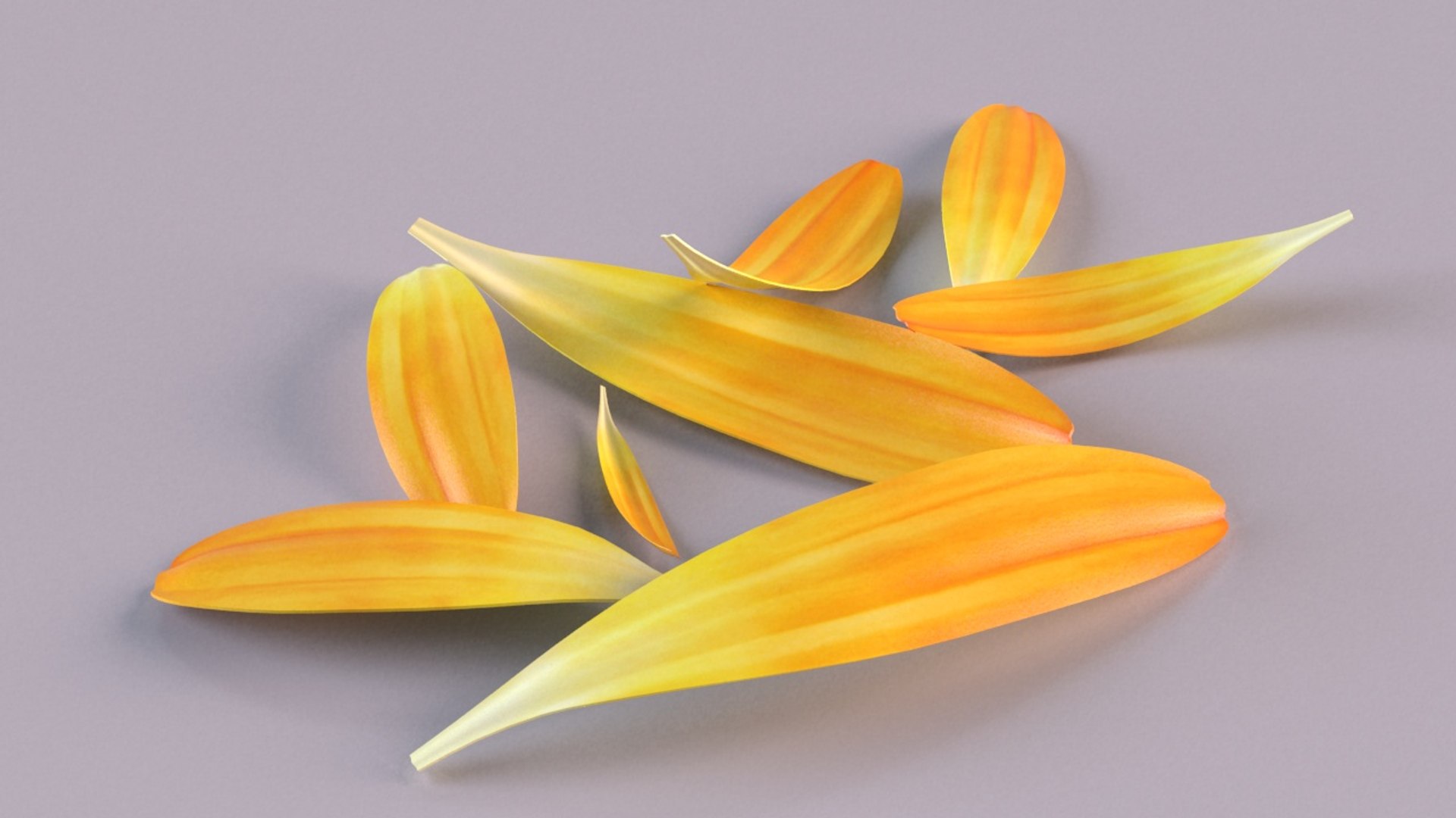3D calendula petals model https://p.turbosquid.com/ts-thumb/t3/UMRavF/0TrGog6F/1/jpg/1597652556/1920x1080/fit_q87/43495426c8c4f0e81b38bac46eeeac13297c93dd/1.jpg