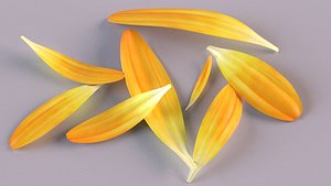 Calendula petal advertising decor herb health