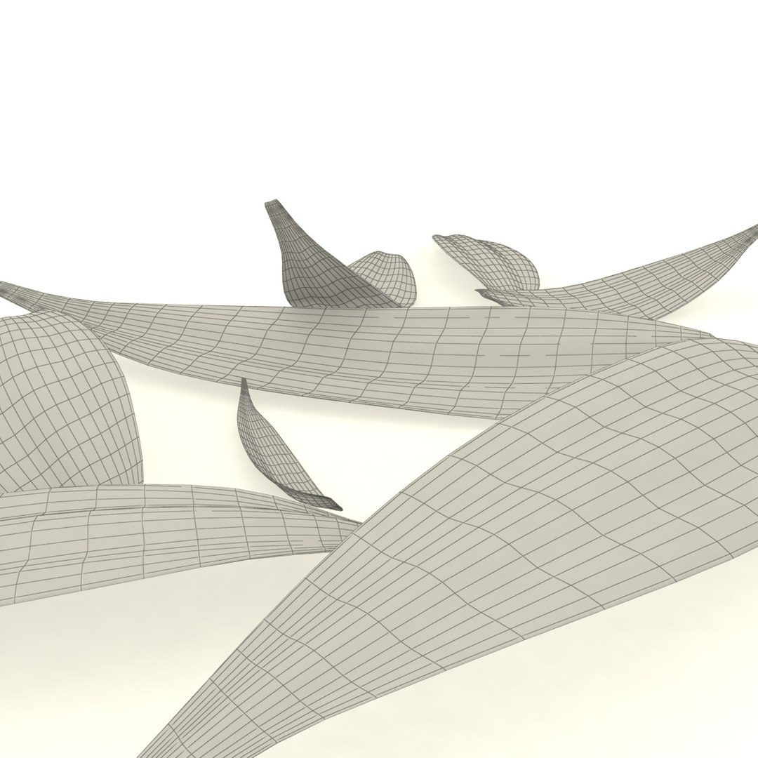 3D calendula petals model https://p.turbosquid.com/ts-thumb/t3/UMRavF/bibej0iW/5/jpg/1597652556/1920x1080/fit_q87/4b383285b16fe6094f6b62e452be0ea0a804a165/5.jpg