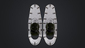 SnowShoes