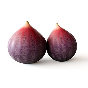 3D Fig Fruit