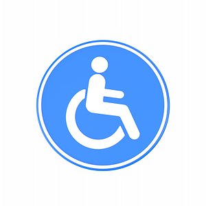 Disabled Sign 3D