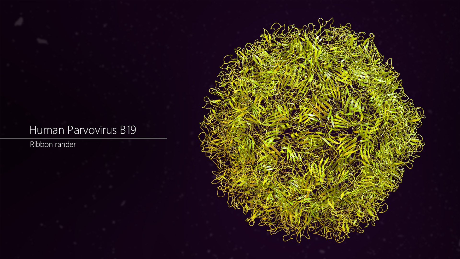 Human Parvovirus B19 Capsid 3D Model - TurboSquid 1361093