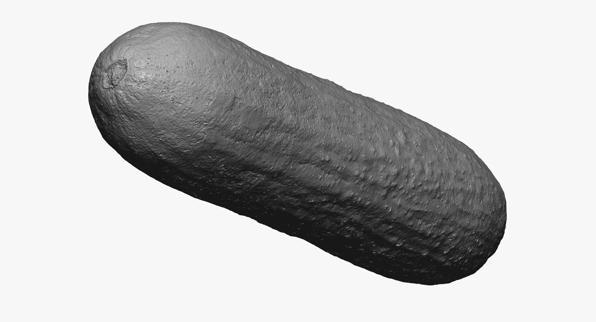 3D Tomato and Cucumber Collection 01 - 2 models RAW Scans https://p.turbosquid.com/ts-thumb/t3/eqwREG/41/short_persian_cucumber_01_thumbnail_05/jpg/1641280246/1920x1080/fit_q87/e8e02c79c0fbf117fa7980a2cf9542c519ea5aa1/short_persian_cucumber_01_thumbnail_05.jpg