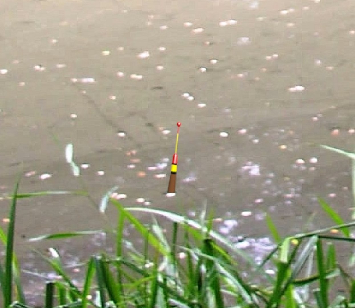 fishing float 3d max https://p.turbosquid.com/ts-thumb/t3/ioAZOb/6ba2ETa0/002bild4/jpg/1356544200/1920x1080/fit_q87/5103ca014e70b562bbd663b8f7aa8ed36bcf46c1/002bild4.jpg