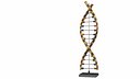 Education DNA Model