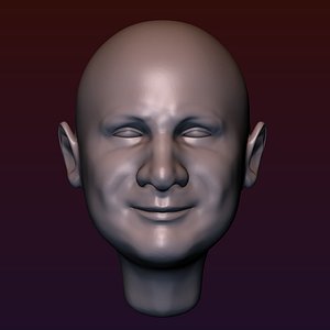 3D Male head 4 bald head