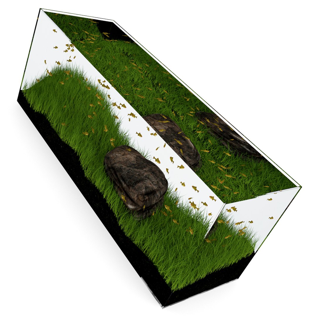 3d model volume 24 aquariums https://p.turbosquid.com/ts-thumb/t4/QW1XBt/6XShxcy5/02b0000copy/jpg/1348728798/1920x1080/fit_q87/37aa0b647718e9379f89b7722a628517747d5486/02b0000copy.jpg