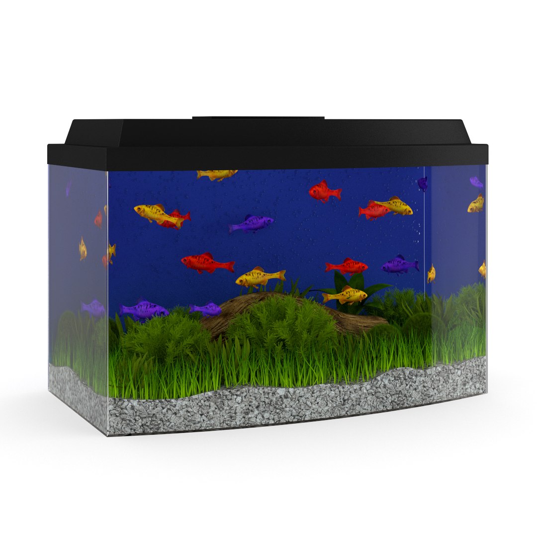 3d model volume 24 aquariums https://p.turbosquid.com/ts-thumb/t4/QW1XBt/C3kvfre4/01a0000copy/jpg/1348728797/1920x1080/fit_q87/768bbb93f679e9479873a897ab56a4d84dab9fcb/01a0000copy.jpg