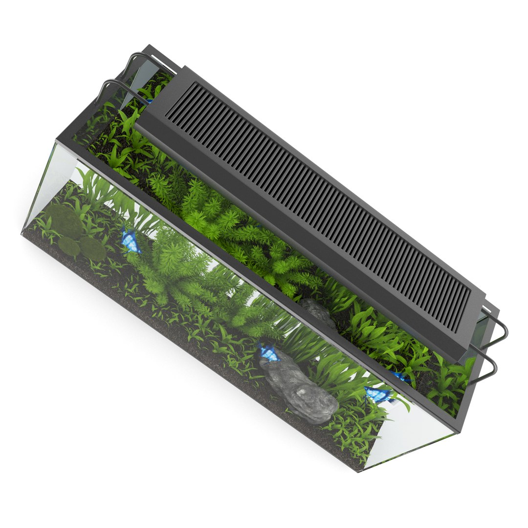 3d model volume 24 aquariums https://p.turbosquid.com/ts-thumb/t4/QW1XBt/G1ICV0oD/15bcopy/jpg/1348728799/1920x1080/fit_q87/37da519587c71ae8094c3c75645743b5b80003c6/15bcopy.jpg