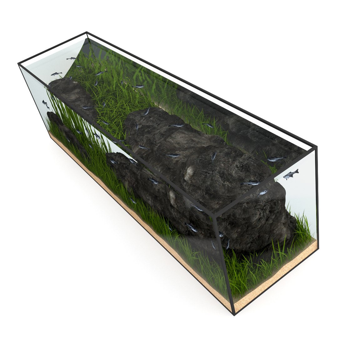 3d model volume 24 aquariums https://p.turbosquid.com/ts-thumb/t4/QW1XBt/L7jXo8Eq/09bcopy/jpg/1348728798/1920x1080/fit_q87/ad661c25e21d316cf00a7c77d58bc91f807e4600/09bcopy.jpg