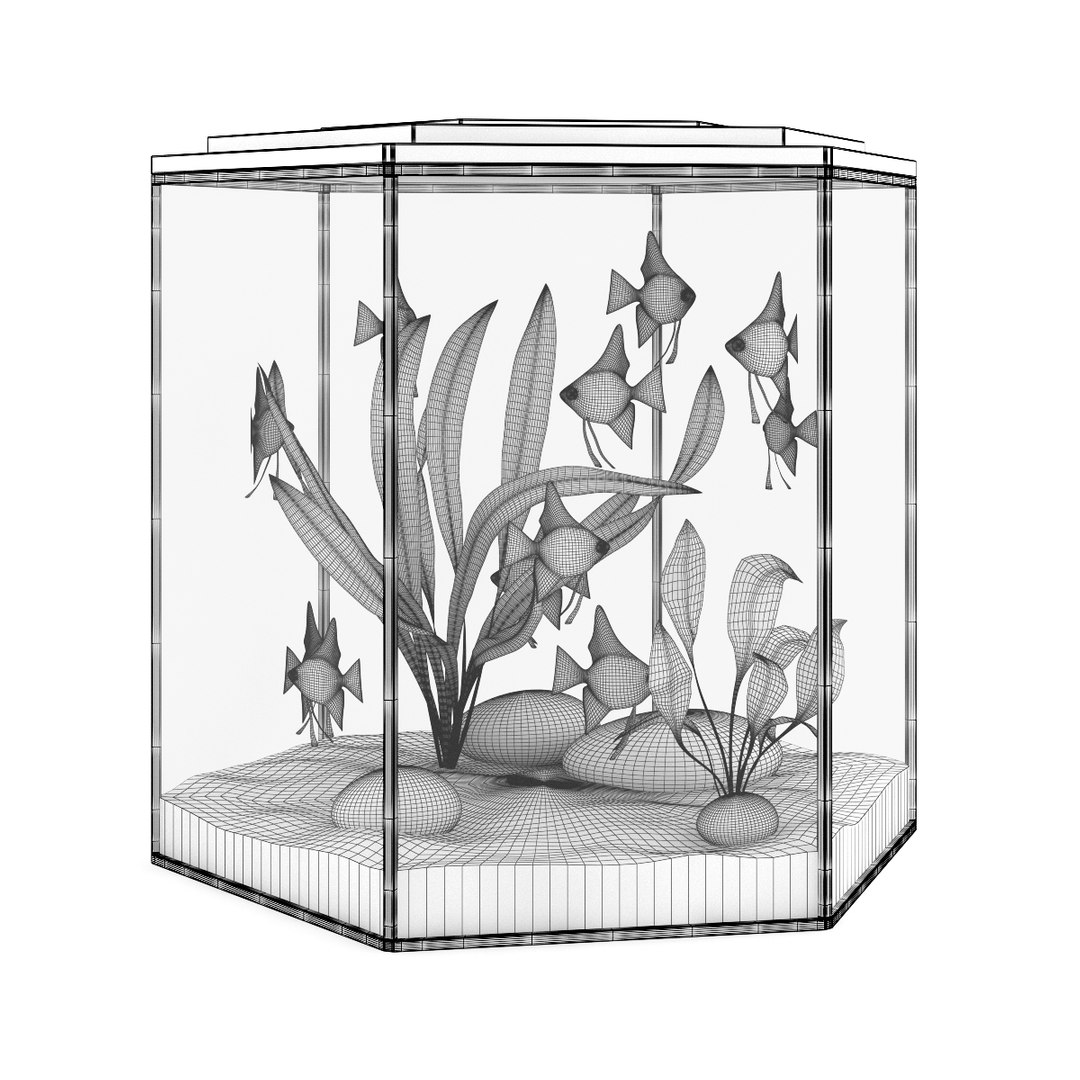 3d model volume 24 aquariums https://p.turbosquid.com/ts-thumb/t4/QW1XBt/MA3uxQLY/11agrid0000copy/jpg/1348728799/1920x1080/fit_q87/c3390f9a63cf2491da52e5531ab568b96d152697/11agrid0000copy.jpg