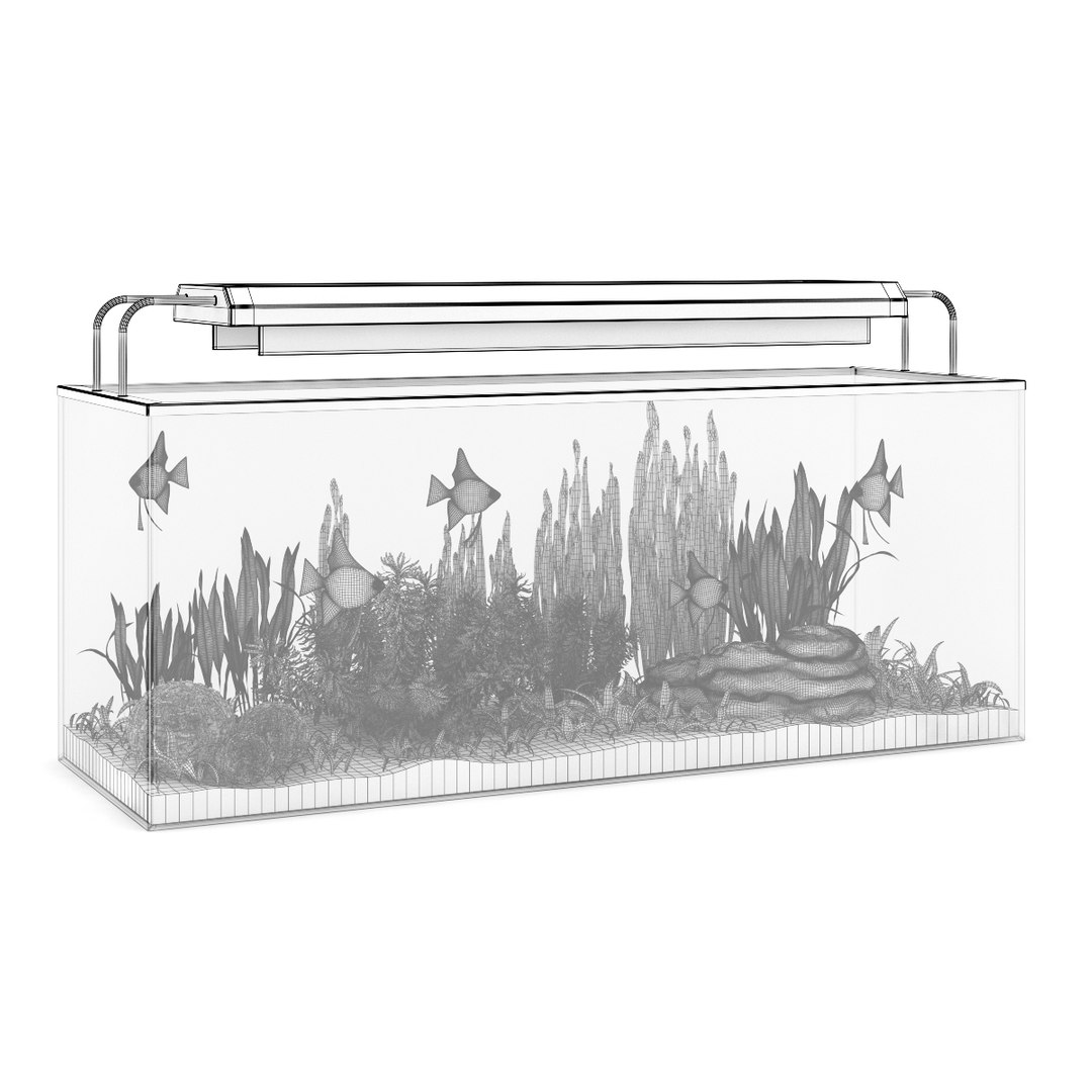 3d model volume 24 aquariums https://p.turbosquid.com/ts-thumb/t4/QW1XBt/ZlvCO0kq/15agridcopy/jpg/1348728799/1920x1080/fit_q87/61a05c445e33acb0d31bb0e018fe423f7500e004/15agridcopy.jpg