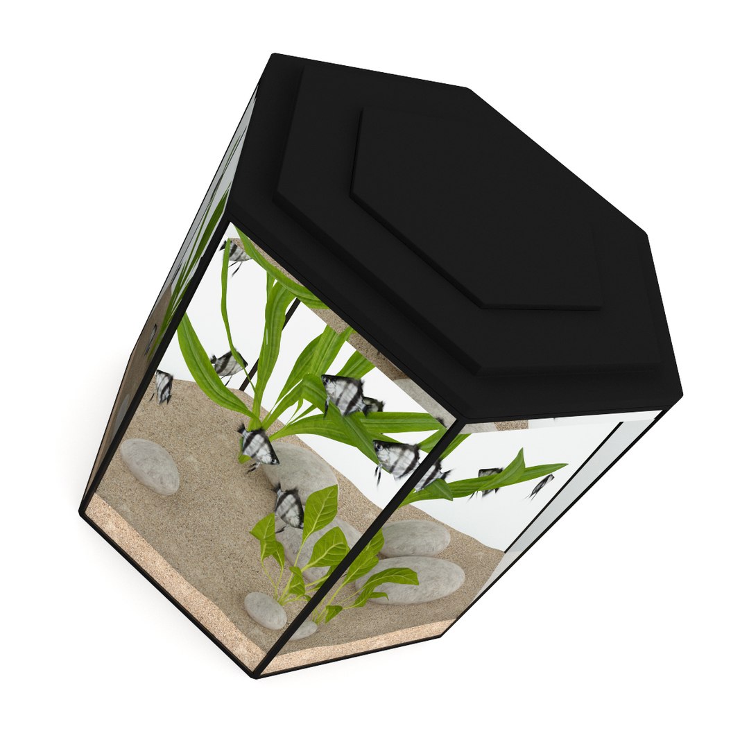 3d model volume 24 aquariums https://p.turbosquid.com/ts-thumb/t4/QW1XBt/a8wN2IdC/11b0000copy/jpg/1348728799/1920x1080/fit_q87/cd40284c7a5ef5ce4ebe062f033e8a518e9699c3/11b0000copy.jpg