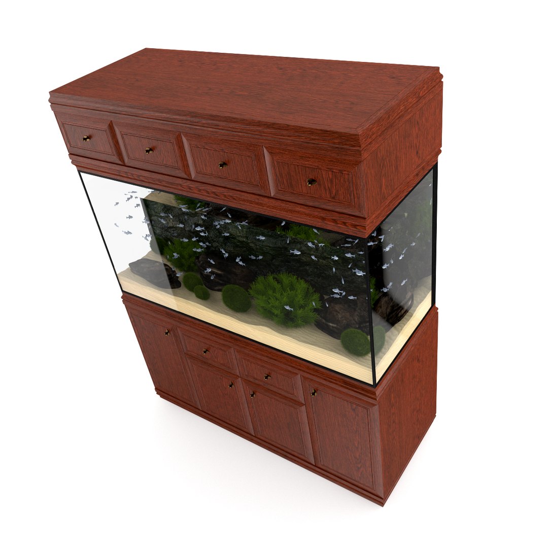 3d model volume 24 aquariums https://p.turbosquid.com/ts-thumb/t4/QW1XBt/bbDESc06/05bcopy/jpg/1348728798/1920x1080/fit_q87/adf551b624efa938d5b3652736090553dc9b8c46/05bcopy.jpg