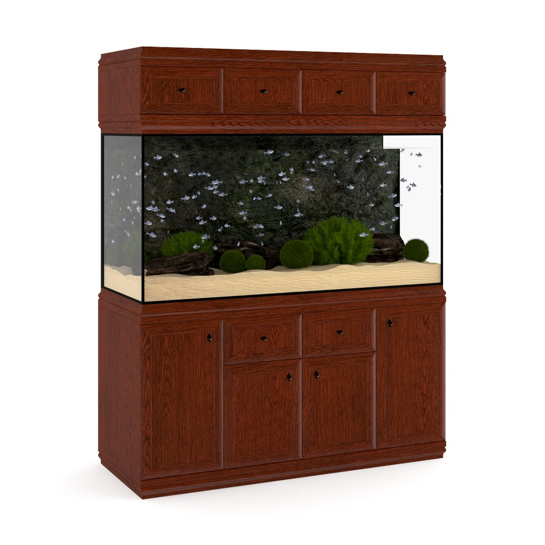 3d model volume 24 aquariums https://p.turbosquid.com/ts-thumb/t4/QW1XBt/cjpTFupi/05acopy/jpg/1348728798/1920x1080/fit_q87/c71a826154d8019ef33c8f94a0a01326a2b15672/05acopy.jpg